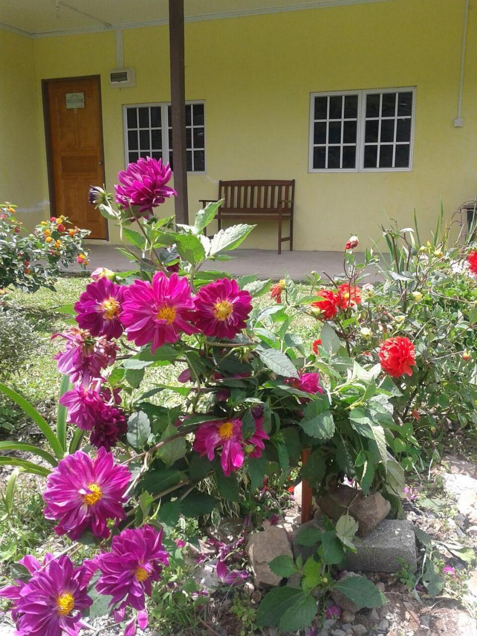 Soboroong Farmer'S Cottage Kundasang Экстерьер фото
